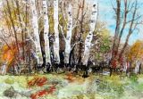 50 - Diane Poole - Brian's Wood, Acton Beauchamp - Watercolour.jpg